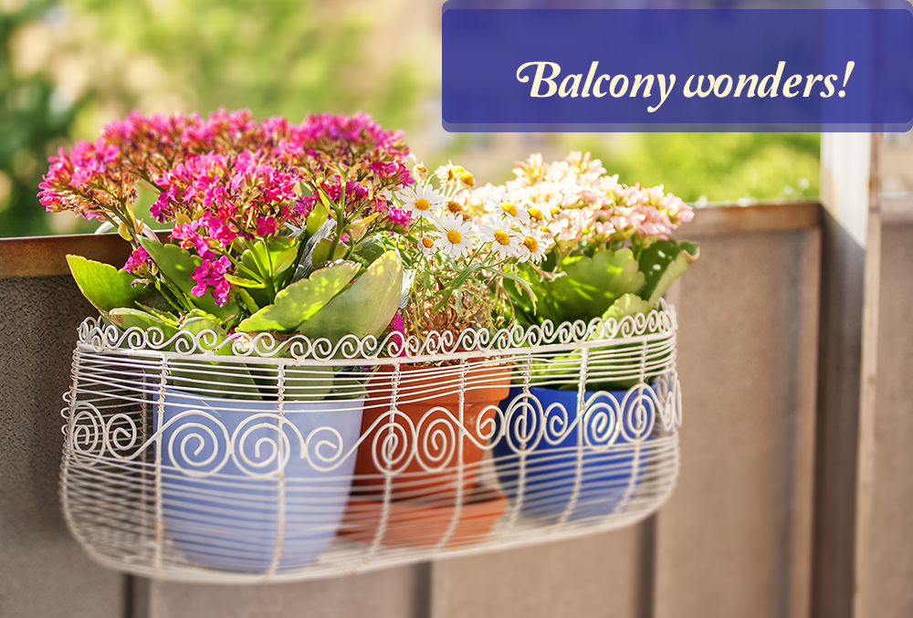 Give Your Balcony A Much Needed Makeover!